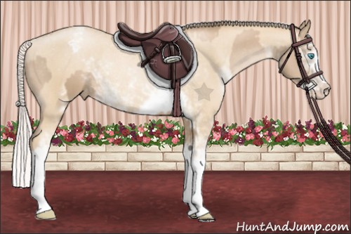Horse Color:Chocolate Palomino Pearl Sabino Appaloosa Rabicano  and Palomino Pearl Sabino Appaloosa Rabicano 