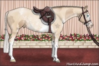 Horse Color:Chocolate Palomino Pearl Sabino Appaloosa Rabicano  and Palomino Pearl Sabino Appaloosa Rabicano 