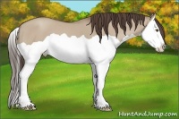 Horse Color:Classic Champagne Dun Splash