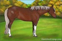 Horse Color:Silver Brown 