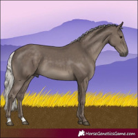 Horse Color:Silver Black