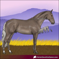 Horse Color:Silver Black 