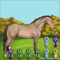 Horse Color:Amber Champagne