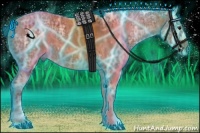 Horse Color:Thunderstruck Bay Ice