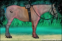 Horse Color:Grullo Roan 