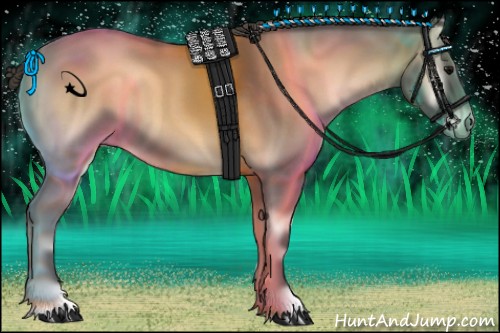 Horse Color:Smoky Blue Onyx Roan 