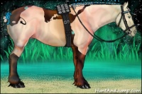 Horse Color:Gold Cream Champagne Dun Tobiano 