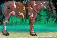 Horse Color:White Spotted Liver Chestnut 