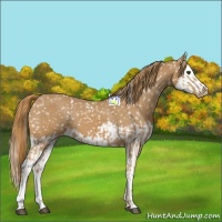 Horse Color:Chestnut Snowflake Varnish  and Chestnut Splash Snowflake Varnish 