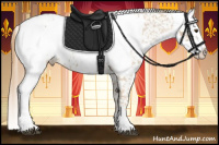Horse Color:Red Roan Blanket and Red Roan Blanket