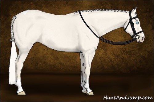 Horse Color:Cremello Dun Tobiano