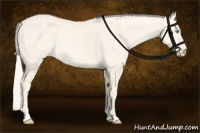 Horse Color:Cremello Dun Tobiano 