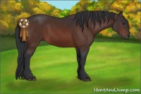 Horse Color:Brown 