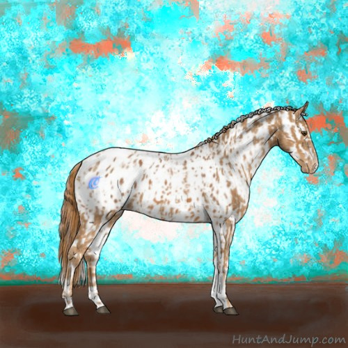 Horse Color:Chestnut Appaloosa  and Chestnut Appaloosa 