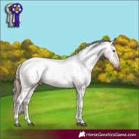 Horse Color:Chestnut Sabino Tobiano Varnish