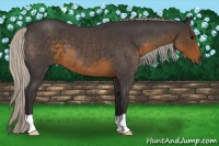 Horse Color:Silver Smoky Blue Roan 