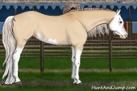 Horse Color:Palomino Dun Splash