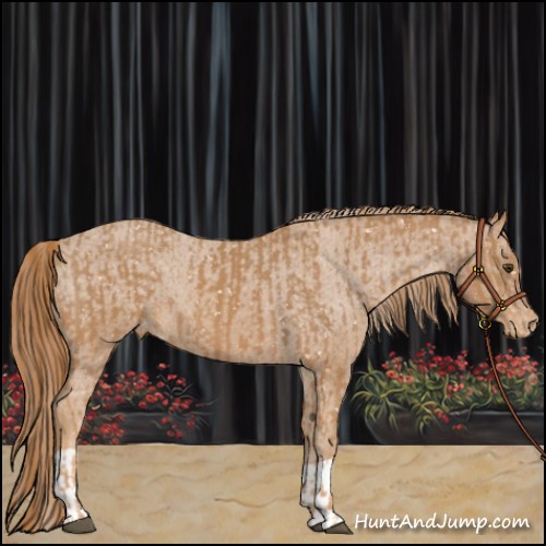 Horse Color:Chestnut Snowflake Varnish and Chestnut Varnish