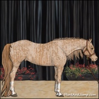 Horse Color:Chestnut Appaloosa and Chestnut Appaloosa