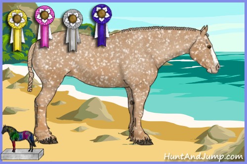 Horse Color:Chestnut Appaloosa  and Painted Chestnut Splash Appaloosa 