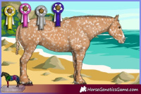Horse Color:Chestnut Snowflake Varnish and Painted Chestnut Splash Snowflake Varnish