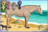 Horse Color:Chestnut Appaloosa and Painted Chestnut Splash Appaloosa