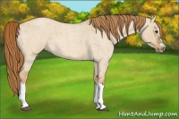 Horse Color:Red Dun Roan Splash Frame Rabicano 