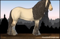 Horse Color:Buckskin Roan Dun