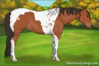 Horse Color:Bay Sabino Tobiano 