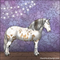 Horse Color:Buckskin Leopard  and Perlino Leopard 