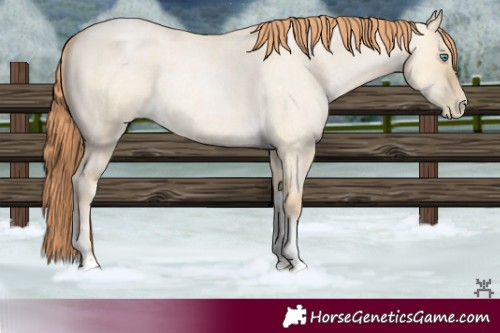 Horse Color:Smoky Grullo Roan Pearl Tobiano