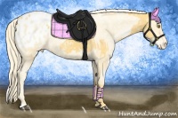 Horse Color:Palomino Appaloosa  and Palomino Pearl Appaloosa 