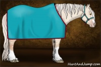 Horse Color:Silver Classic Champagne Dun Splash Frame 