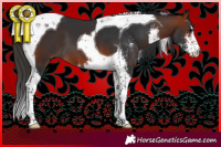 Horse Color:Bay Sabino Tobiano 