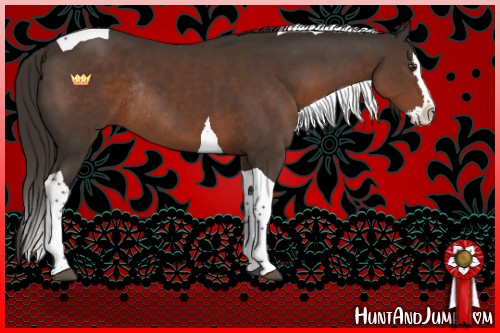 Horse Color:Liver Chestnut Splash Tobiano Rabicano