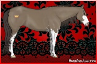 Horse Color:Smoky Grullo Sabino 