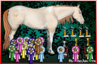 Horse Color:Classic Cream Champagne Pearl Tobiano Rabicano 