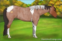 Horse Color:Bay Roan Tobiano