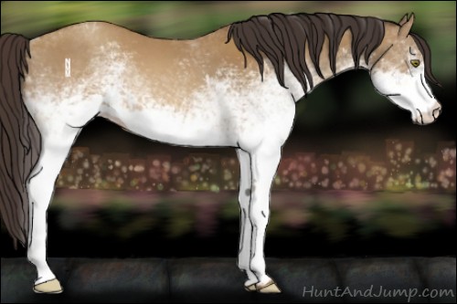 Horse Color:White Spotted Sable Cream Champagne Sabino 