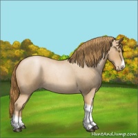 Horse Color:Red Roan Pearl Tobiano Frame 