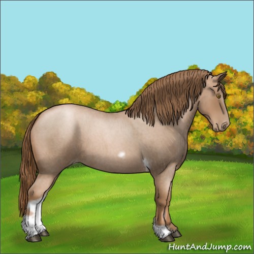 Horse Color:Liver Red Roan Pearl Tobiano Frame 
