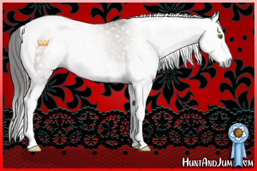 Horse Color:Gray Classic Champagne Splash Tobiano Blanket Rabicano
