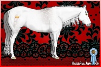 Horse Color:Gray Classic Champagne Splash Tobiano Blanket Rabicano 