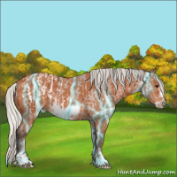 Horse Color:Brown Frame Appaloosa  and Thunderstruck Silver Bay Frame 