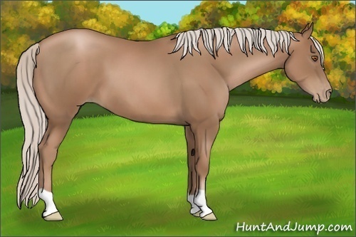 Horse Color:Silver Black Pearl 