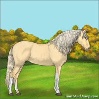 Horse Color:Palomino Dun 