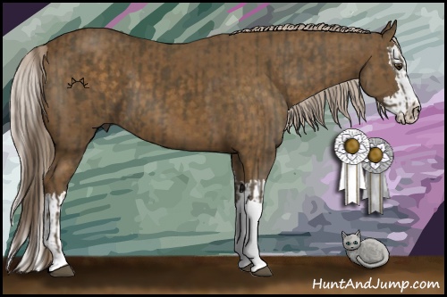 Horse Color:Chocolate Palomino  and Chocolate Palomino Splash 