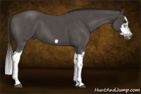 Horse Color:Smoky Blue Roan Splash Frame 