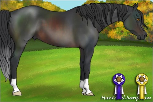 Horse Color:Brown 