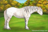 Horse Color:Chocolate Palomino Pearl Sabino Appaloosa Rabicano  and Chocolate Palomino Pearl Sabino Appaloosa Rabicano 